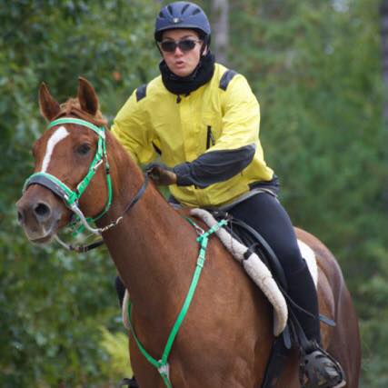 Matan Harkabi